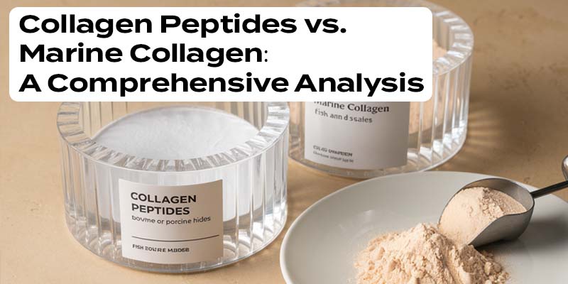Collagen Peptides vs. Marine Collagen: A Comprehensive Analysis