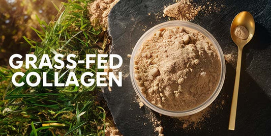 Navigating the Green Pastures - A Guide to Choosing the Best Grass-Fed Collagen Powder