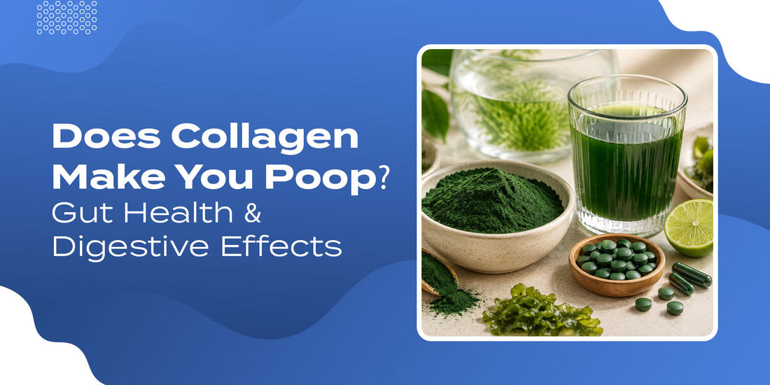 Algae Collagen- Everything You Need to Know