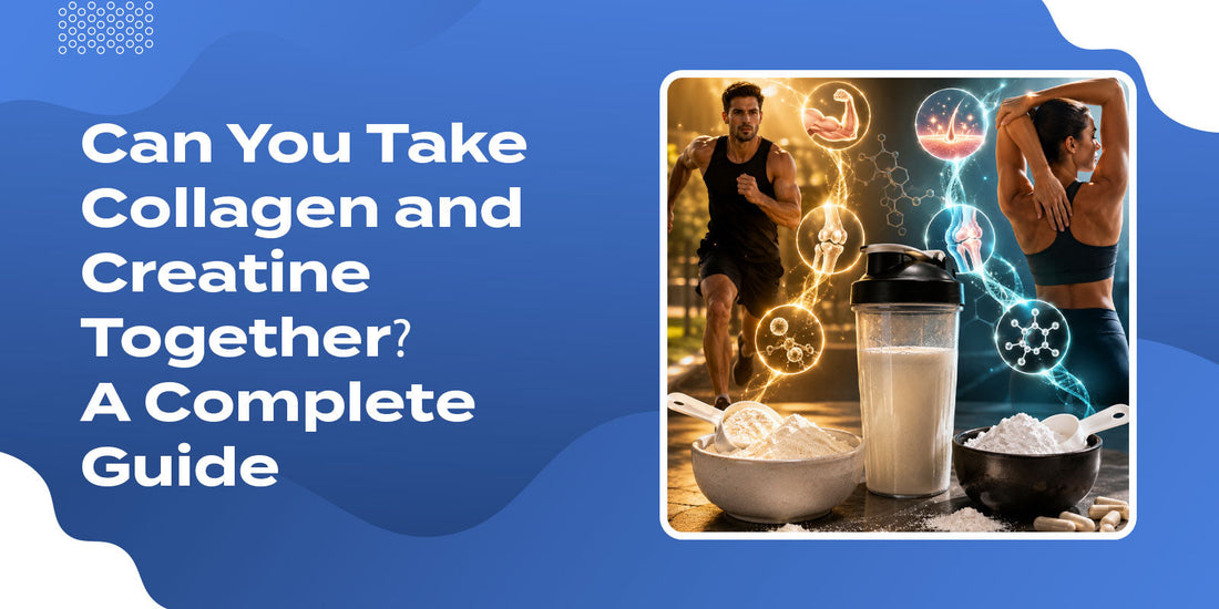 Can You Take Collagen and Creatine Together? A Complete Guide