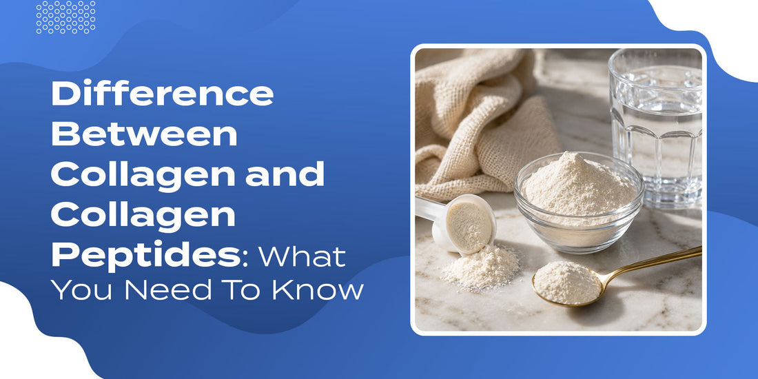 Difference Between Collagen and Collagen Peptides: What You Need To Know