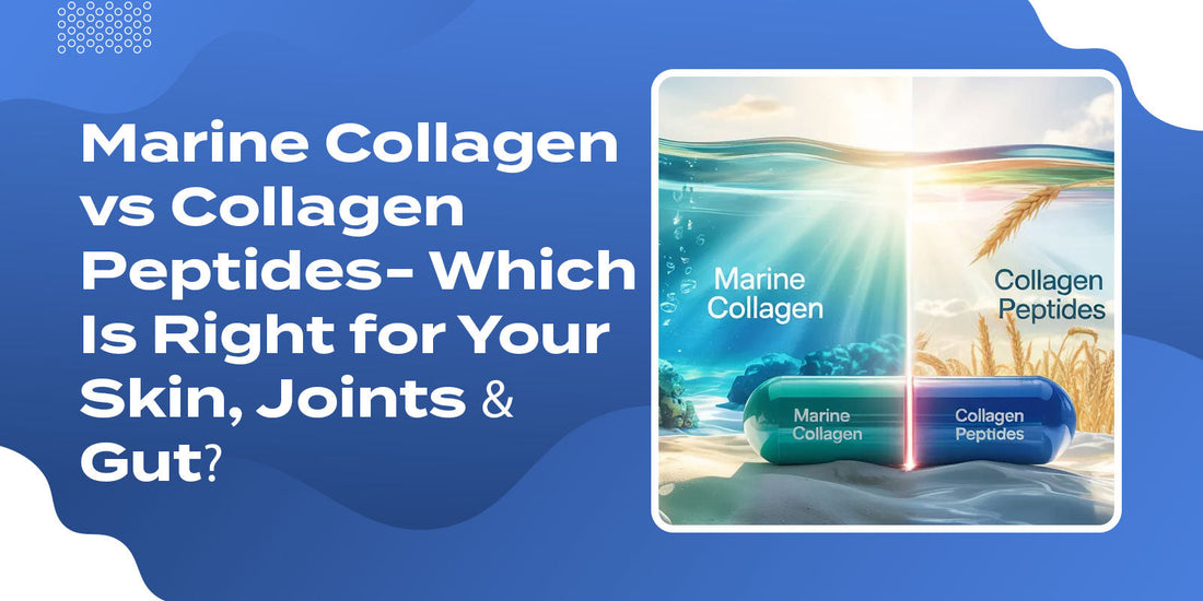 Marine Collagen vs Collagen Peptides- Which Is Right for Your Skin, Joints & Gut?