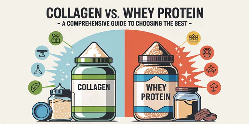Collagen Vs. Whey Protein- A Comprehensive Guide To Choosing The Best