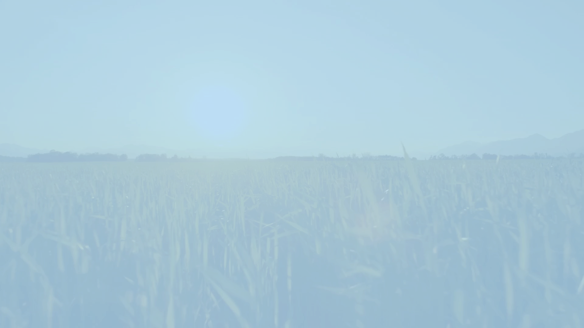 Load video: BioOptimal Brand Video